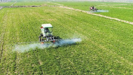 一本大道熟女人妻中文字幕在线