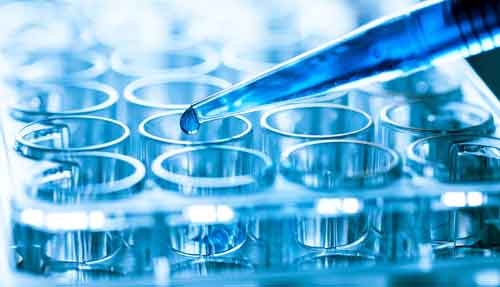 一本大道熟女人妻中文字幕在线